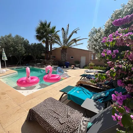 Flamingo Gaymen Only (adults Only) Marseillan (Herault)
