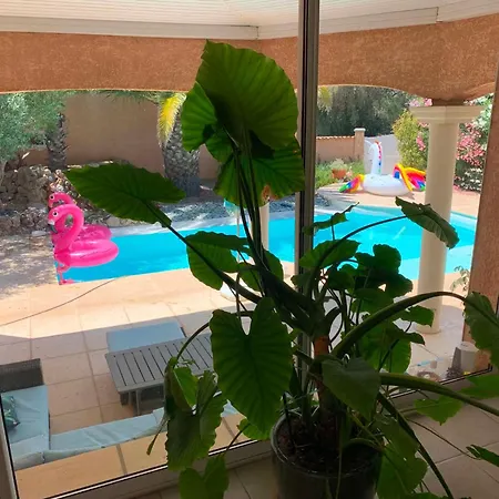 Flamingo Gaymen Only (adults Only) 4* Marseillan (Herault)